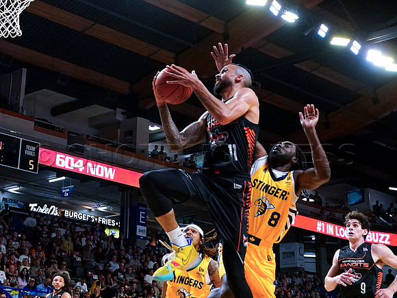 Wes Shaw Shotbug Press-Edmonton Stingers at the Vancouver Bandits-20260522-82253