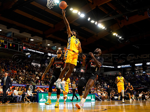 Wes Shaw Shotbug Press-Edmonton Stingers at the Vancouver Bandits-20260522-82009