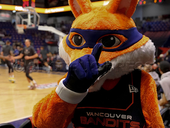 Wes Shaw Shotbug Press-Edmonton Stingers at the Vancouver Bandits-20260522-81796