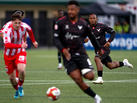 Wes Shaw Shotbug Press-Atletico Ottawa at Vancouver FC-20260605-87778