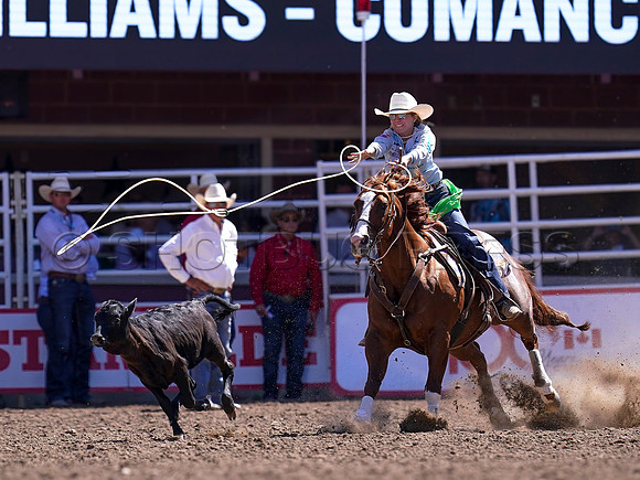 Wes Shaw Shotbug Press-Calgary Stampede 2026-20260711-145863