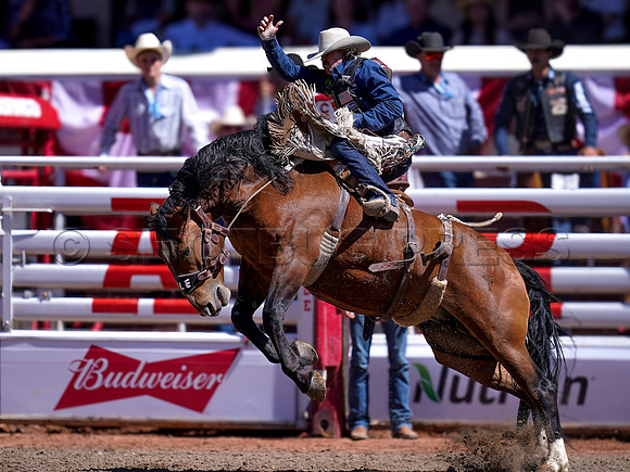 Wes Shaw Shotbug Press-Calgary Stampede 2026-20260711-145247
