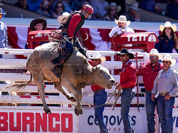 Wes Shaw Shotbug Press-Calgary Stampede 2026-20260711-141528
