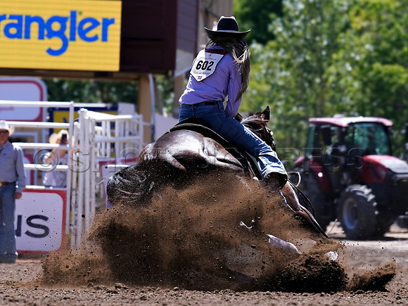 Wes Shaw Shotbug Press-Calgary Stampede 2026-20260711-141183