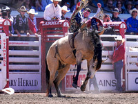 Wes Shaw Shotbug Press-Calgary Stampede 2026-20260711-139865