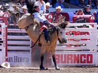 Wes Shaw Shotbug Press-Calgary Stampede 2026-20260711-139848