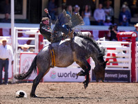 Wes Shaw Shotbug Press-Calgary Stampede 2026-20260711-139603