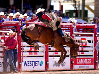 Wes Shaw Shotbug Press-Calgary Stampede 2026-20260711-139493