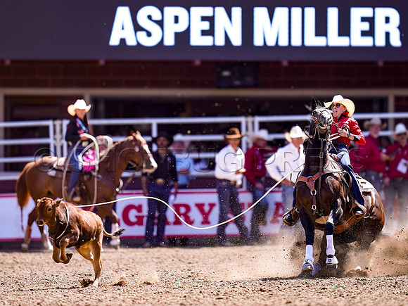 Wes Shaw Shotbug Press-Calgary Stampede 2026 Finals-20260712-152333