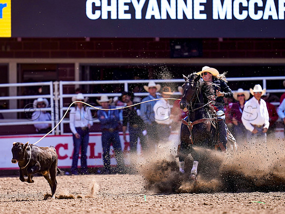 Wes Shaw Shotbug Press-Calgary Stampede 2026 Finals-20260712-152257