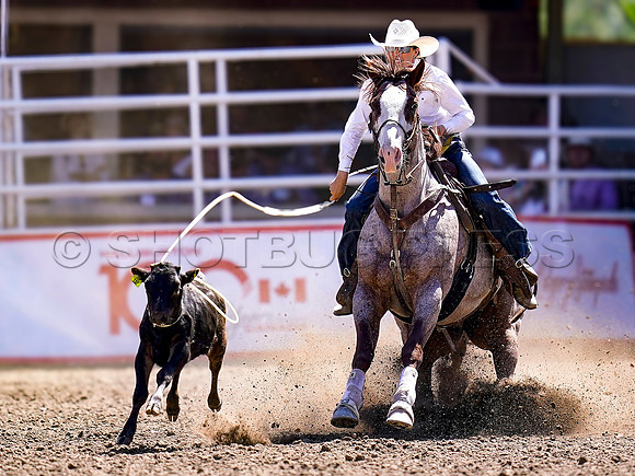 Wes Shaw Shotbug Press-Calgary Stampede 2026 Finals-20260712-152098