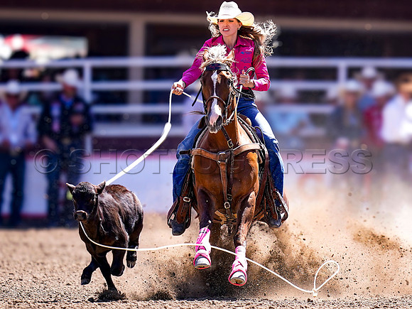 Wes Shaw Shotbug Press-Calgary Stampede 2026 Finals-20260712-151948