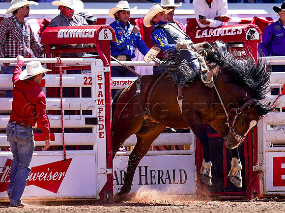 Wes Shaw Shotbug Press-Calgary Stampede 2026 Finals-20260712-151727