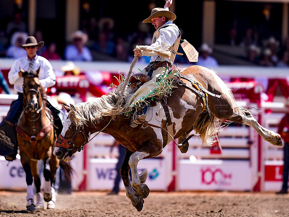 Wes Shaw Shotbug Press-Calgary Stampede 2026 Finals-20260712-151690