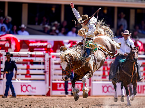 Wes Shaw Shotbug Press-Calgary Stampede 2026 Finals-20260712-151682
