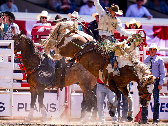 Wes Shaw Shotbug Press-Calgary Stampede 2026 Finals-20260712-151589