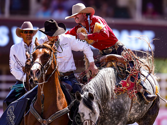 Wes Shaw Shotbug Press-Calgary Stampede 2026 Finals-20260712-151567