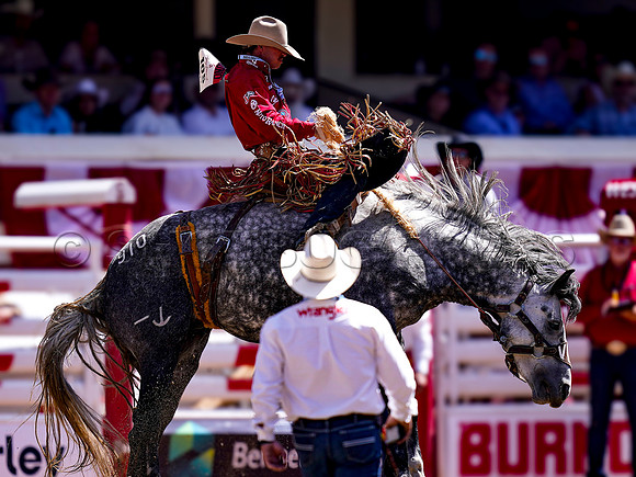 Wes Shaw Shotbug Press-Calgary Stampede 2026 Finals-20260712-151474
