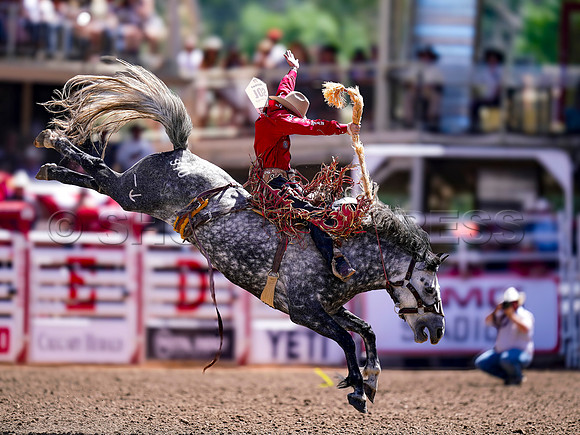 Wes Shaw Shotbug Press-Calgary Stampede 2026 Finals-20260712-151513