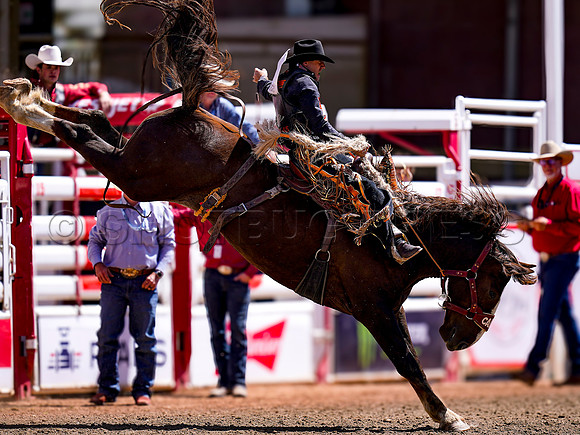 Wes Shaw Shotbug Press-Calgary Stampede 2026 Finals-20260712-151239