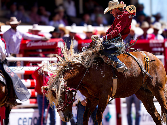 Wes Shaw Shotbug Press-Calgary Stampede 2026 Finals-20260712-151123