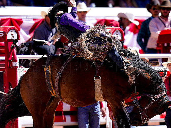 Wes Shaw Shotbug Press-Calgary Stampede 2026 Finals-20260712-150778