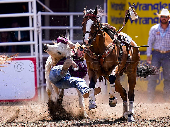 Wes Shaw Shotbug Press-Calgary Stampede 2026 Finals-20260712-150662
