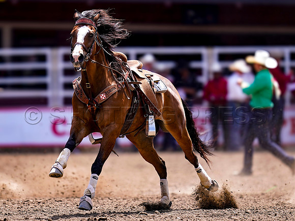 Wes Shaw Shotbug Press-Calgary Stampede 2026 Finals-20260712-150518
