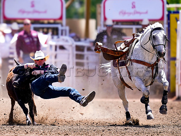 Wes Shaw Shotbug Press-Calgary Stampede 2026 Finals-20260712-150351