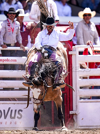 Wes Shaw Shotbug Press-Calgary Stampede 2026 Finals-20260712-148554