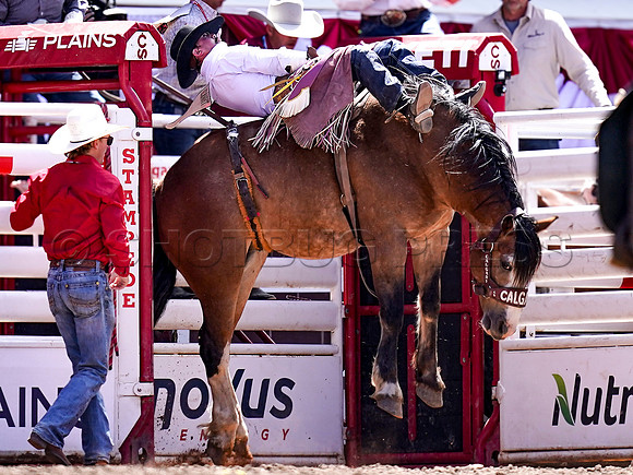 Wes Shaw Shotbug Press-Calgary Stampede 2026 Finals-20260712-148518