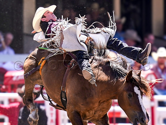 Wes Shaw Shotbug Press-Calgary Stampede 2026 Finals-20260712-148268