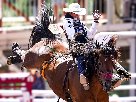 Wes Shaw Shotbug Press-Calgary Stampede 2026 Finals-20260712-148158