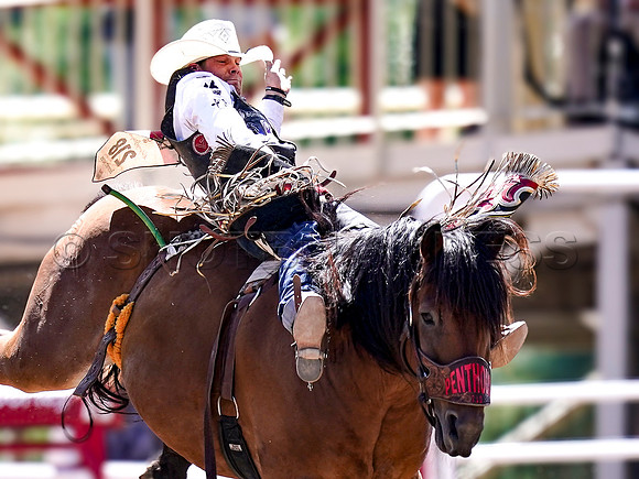 Wes Shaw Shotbug Press-Calgary Stampede 2026 Finals-20260712-148156