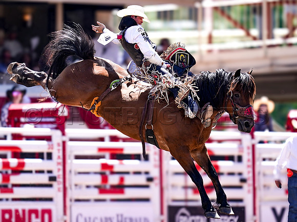 Wes Shaw Shotbug Press-Calgary Stampede 2026 Finals-20260712-148139
