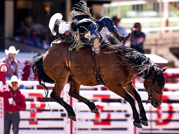 Wes Shaw Shotbug Press-Calgary Stampede 2026 Finals-20260712-148135