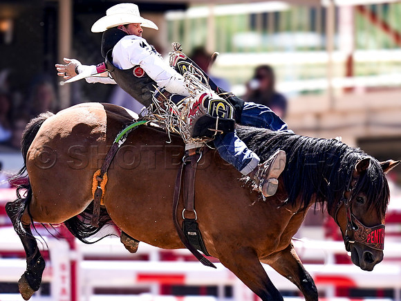 Wes Shaw Shotbug Press-Calgary Stampede 2026 Finals-20260712-148137