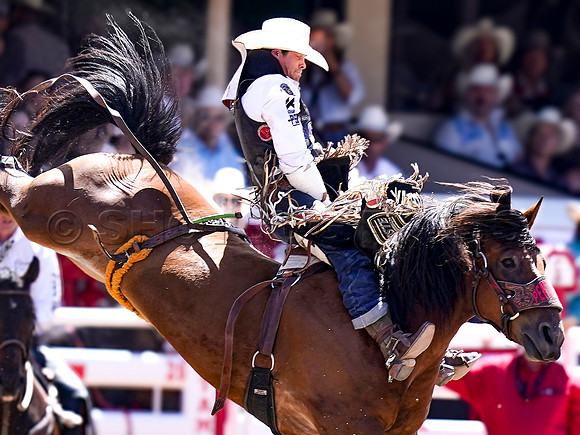 Wes Shaw Shotbug Press-Calgary Stampede 2026 Finals-20260712-148122