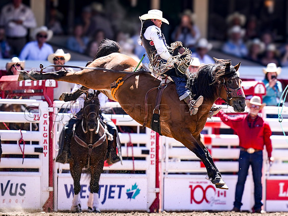 Wes Shaw Shotbug Press-Calgary Stampede 2026 Finals-20260712-148121