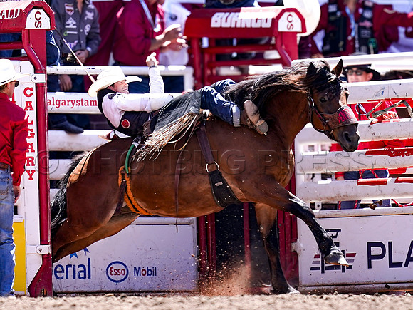 Wes Shaw Shotbug Press-Calgary Stampede 2026 Finals-20260712-148095
