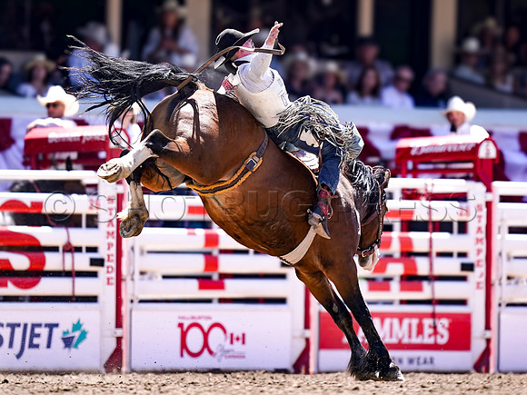 Wes Shaw Shotbug Press-Calgary Stampede 2026 Finals-20260712-148059