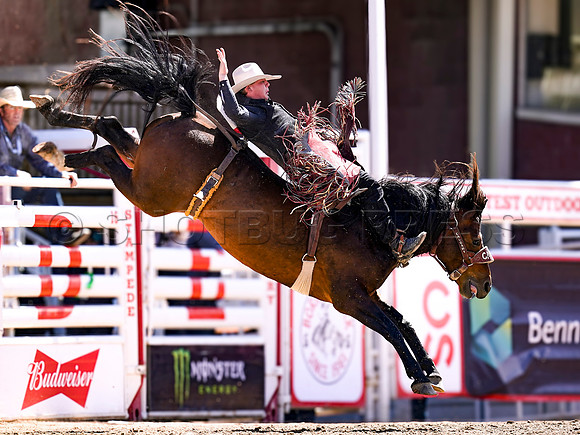 Wes Shaw Shotbug Press-Calgary Stampede 2026 Finals-20260712-148067