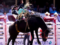 Wes Shaw Shotbug Press-Calgary Stampede 2026 Finals-20260712-148009