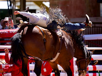 Wes Shaw Shotbug Press-Calgary Stampede 2026 Finals-20260712-148028