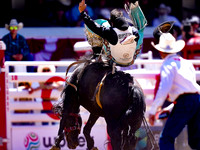 Wes Shaw Shotbug Press-Calgary Stampede 2026 Finals-20260712-147991
