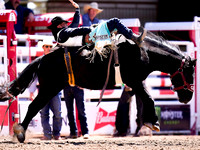 Wes Shaw Shotbug Press-Calgary Stampede 2026 Finals-20260712-147968