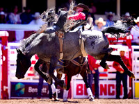 Wes Shaw Shotbug Press-Calgary Stampede 2026 Finals-20260712-147956