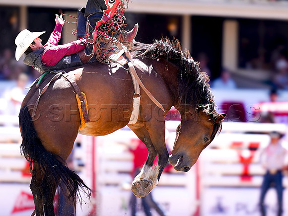 Wes Shaw Shotbug Press-Calgary Stampede 2026 Finals-20260712-147894