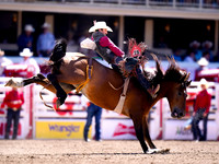 Wes Shaw Shotbug Press-Calgary Stampede 2026 Finals-20260712-147887