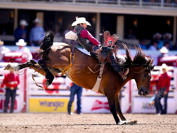 Wes Shaw Shotbug Press-Calgary Stampede 2026 Finals-20260712-147887